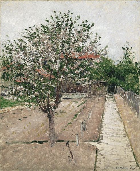 Gustave Caillebotte Apple Tree in Bloom